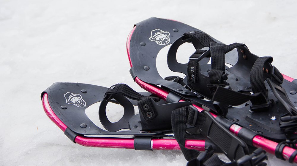 Snowshoes resting in the snow.