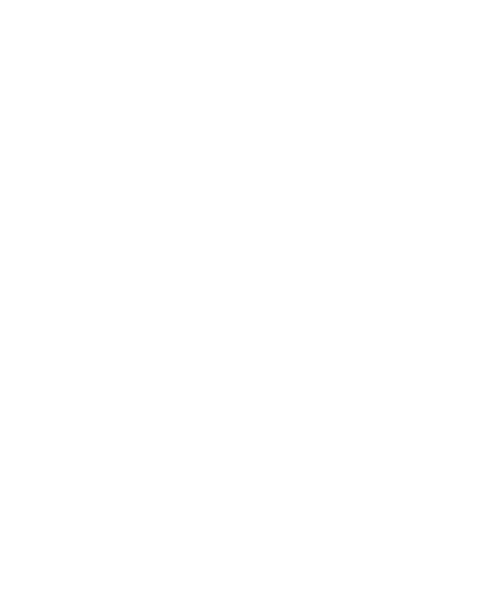 WOL Island logo White