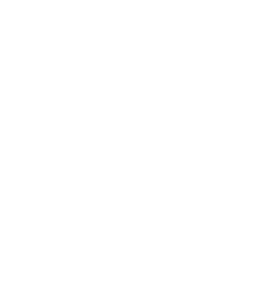 Pursuit logo white