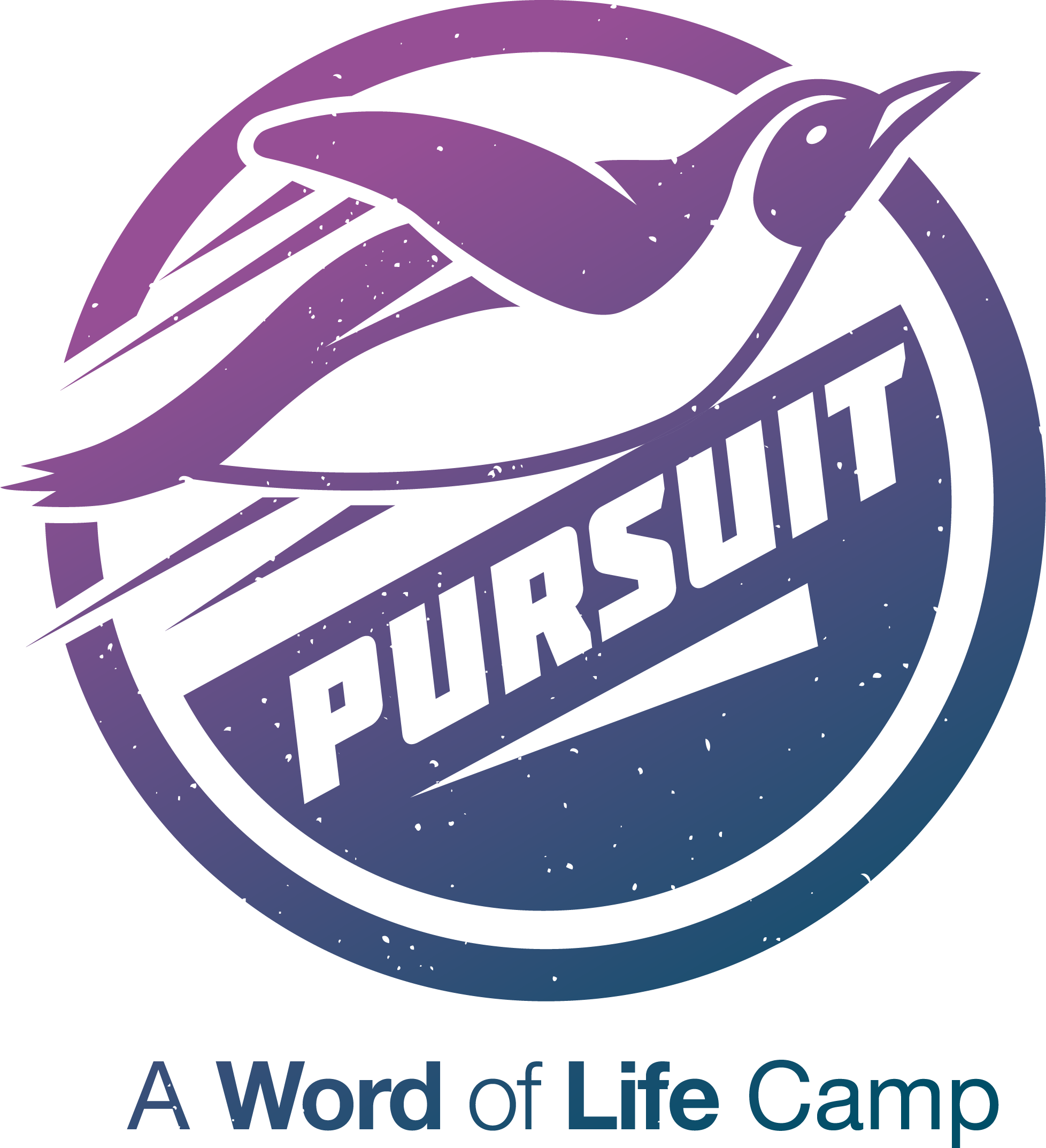 Pursuit Logo color